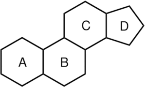 What are anabolic steroids? - Grizzly Steroids